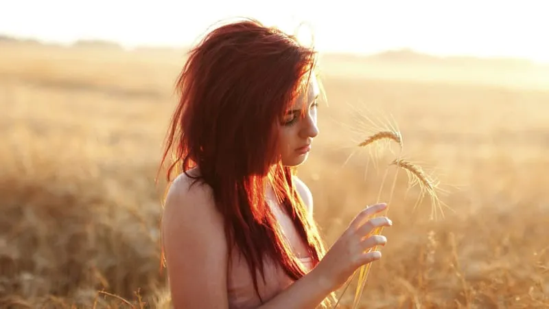 Susan Coffey Theme Preview Image