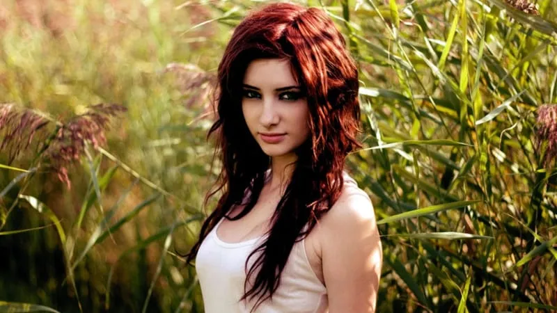 Susan Coffey Theme Preview Image