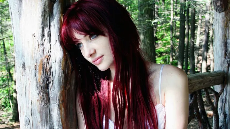 Susan Coffey Theme Preview Image