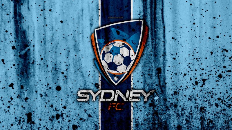 Sydney FC Theme Preview Image