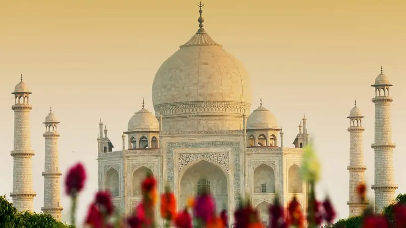 Taj Mahal Theme Preview Image