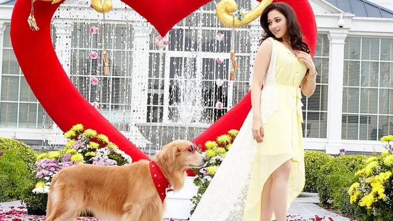 Tamannaah Bhatia Theme Preview Image