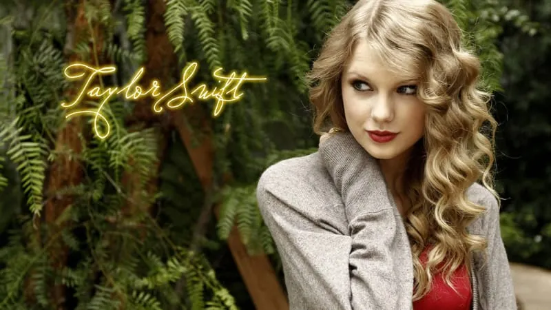 Taylor Swift Theme Preview Image