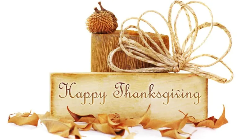 Thanksgiving Theme Preview Image