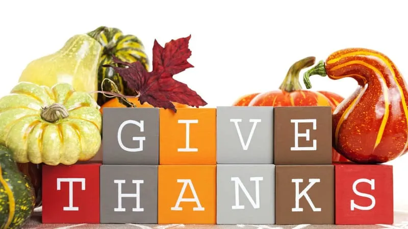 Thanksgiving Theme Preview Image