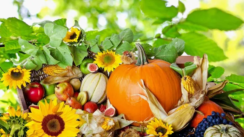 Thanksgiving Theme Preview Image