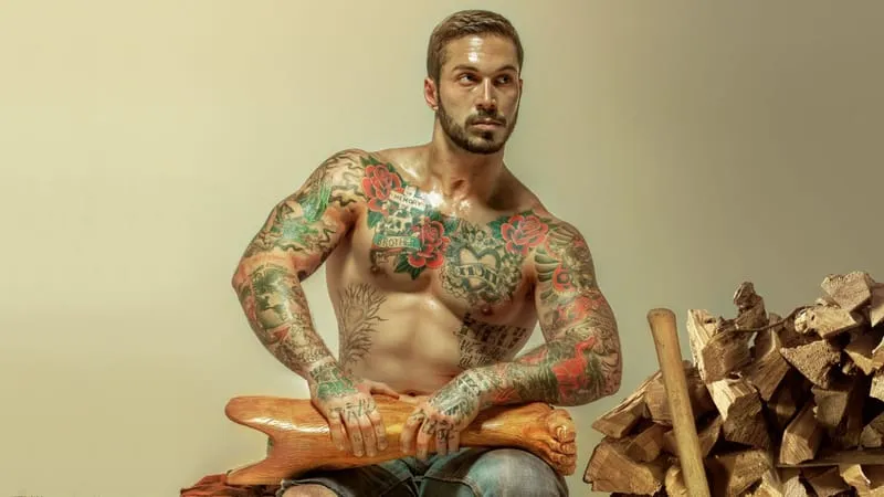 The Hunger Games Mockingjay Theme Preview Image