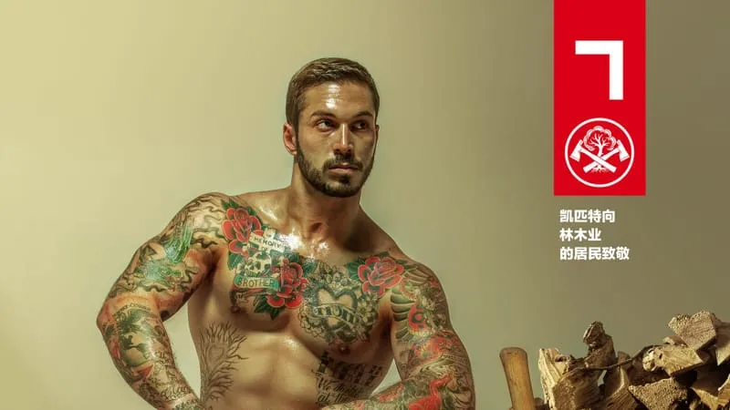 The Hunger Games Theme Preview Image