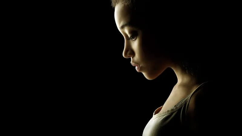 The Hunger Games Theme Preview Image