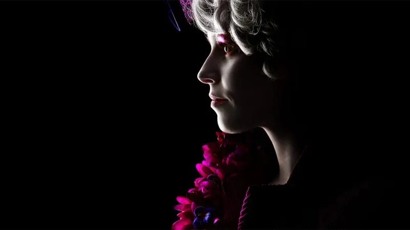 The Hunger Games Theme Preview Image