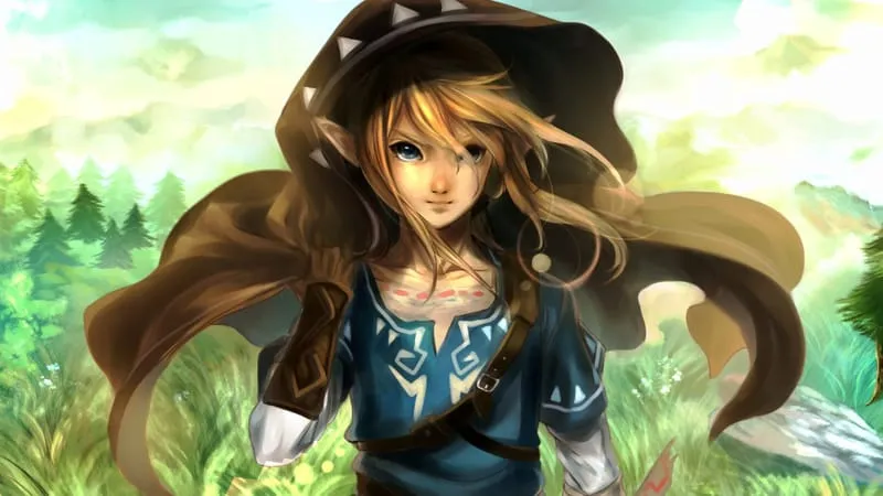 The Legend Of Zelda Breath Of The Wild Theme Preview Image