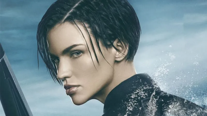 The Meg Theme Preview Image