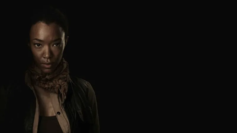 The Walking Dead Theme Preview Image