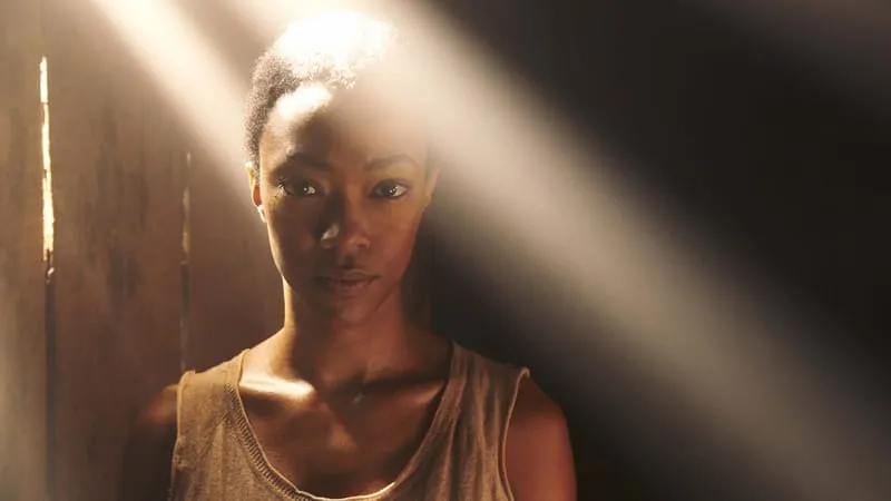 The Walking Dead Theme Preview Image