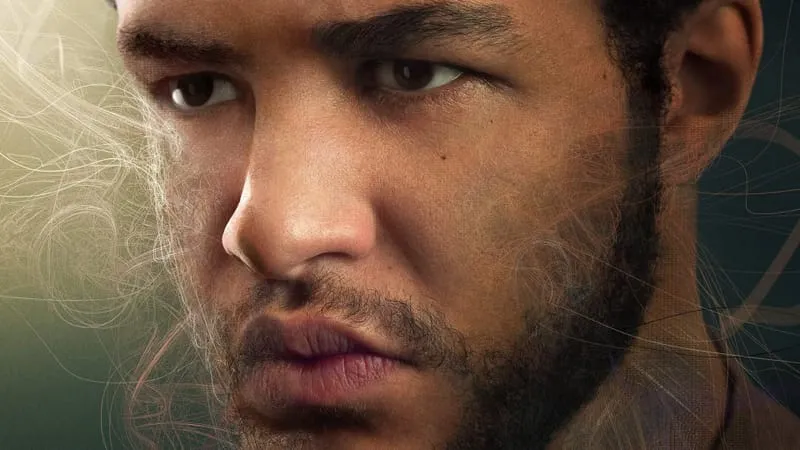 The Wheel Of Time Theme Preview Image