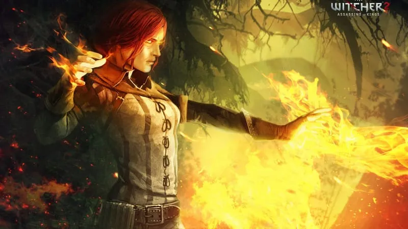 The Witcher 2: Assassins Of Kings Theme Preview Image