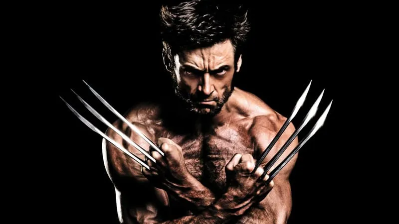 The Wolverine Theme Preview Image