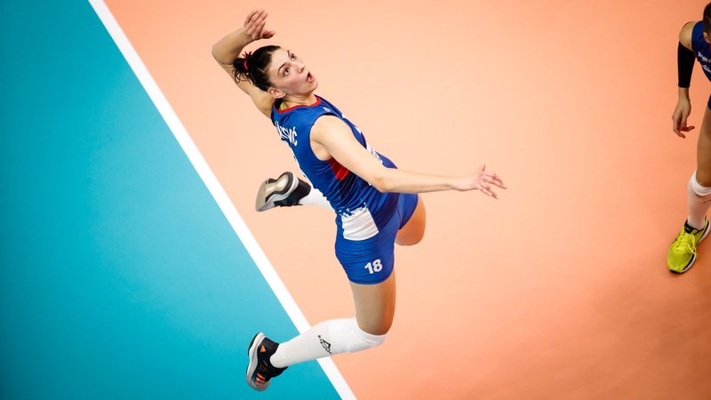 Tijana Boskovic Theme Preview Image