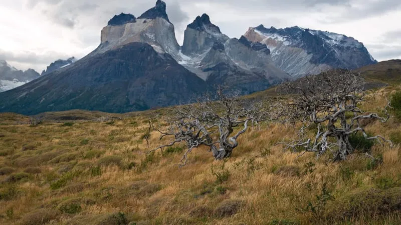Torres Del Paine Theme Preview Image