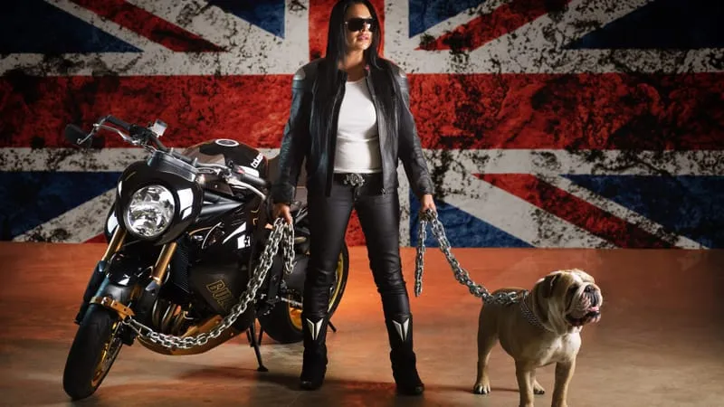 Triumph Speed Triple Theme Preview Image