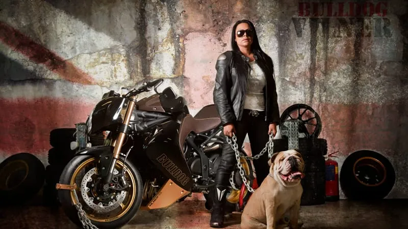 Triumph Speed Triple Theme Preview Image