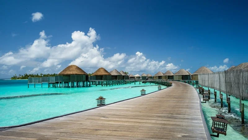 Tropical Theme Preview Image