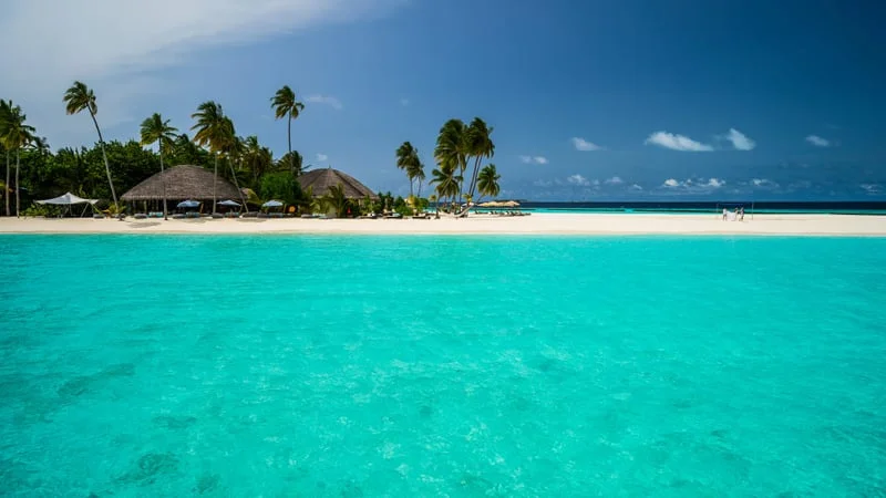 Tropical Theme Preview Image