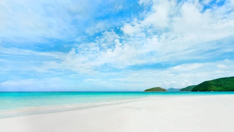 Tropical Theme Preview Image