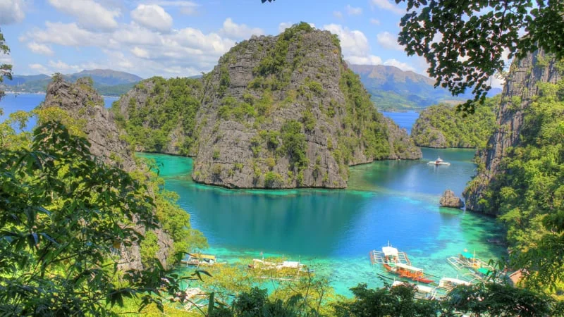 Tropical Theme Preview Image