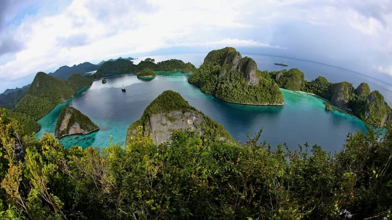 Tropical Theme Preview Image