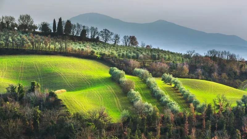 Tuscany Theme Preview Image