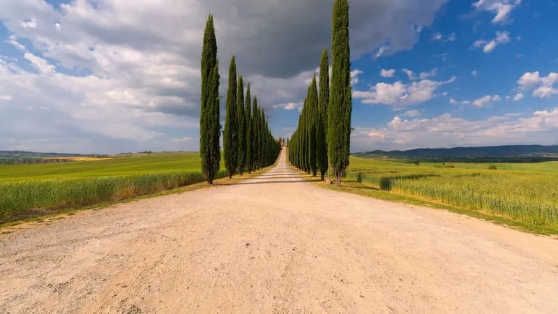 Tuscany Theme Preview Image