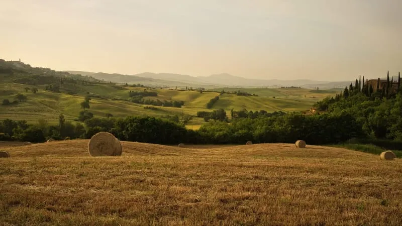 Tuscany Theme Preview Image