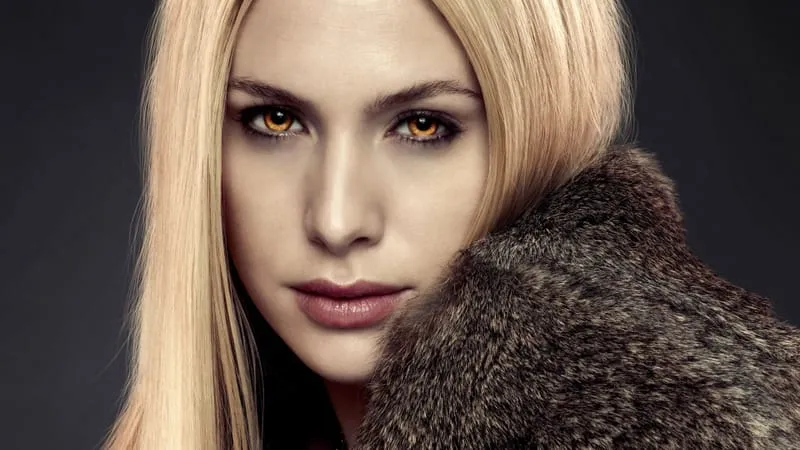 Twilight Theme Preview Image