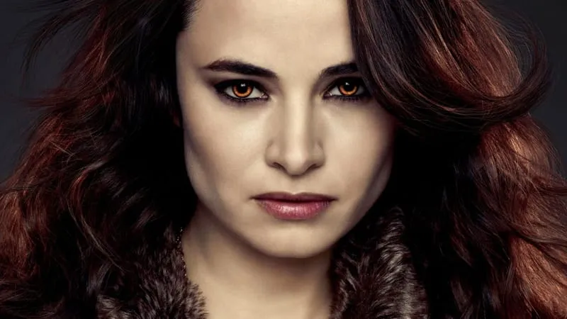 Twilight Theme Preview Image