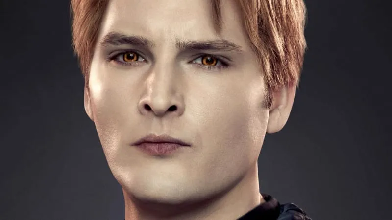 Twilight Theme Preview Image