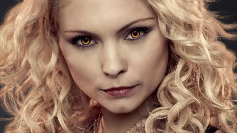 Twilight Theme Preview Image