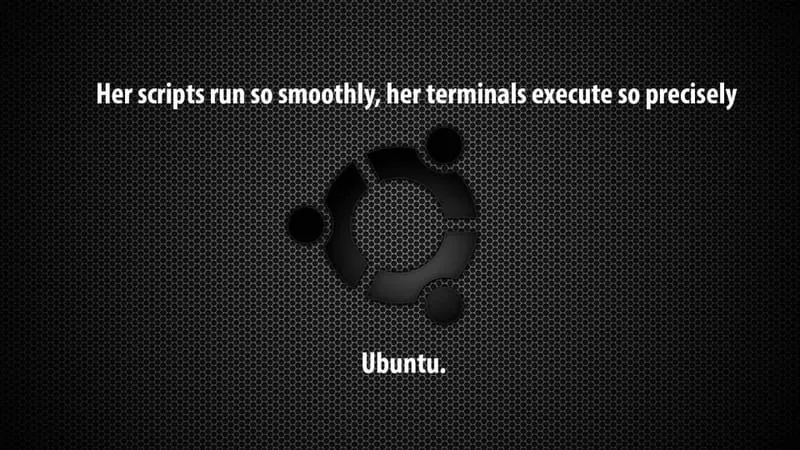 Ubuntu Theme Preview Image