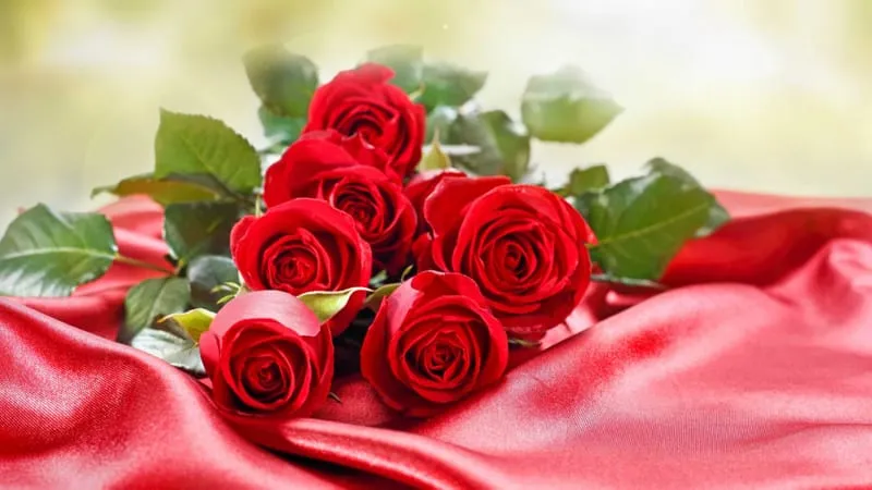 Valentines Day Theme Preview Image