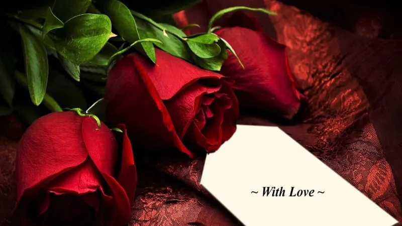 Valentines Day Theme Preview Image