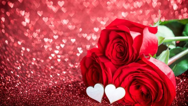 Valentines Day Theme Preview Image