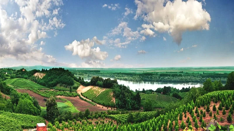 Vineyard Theme Preview Image