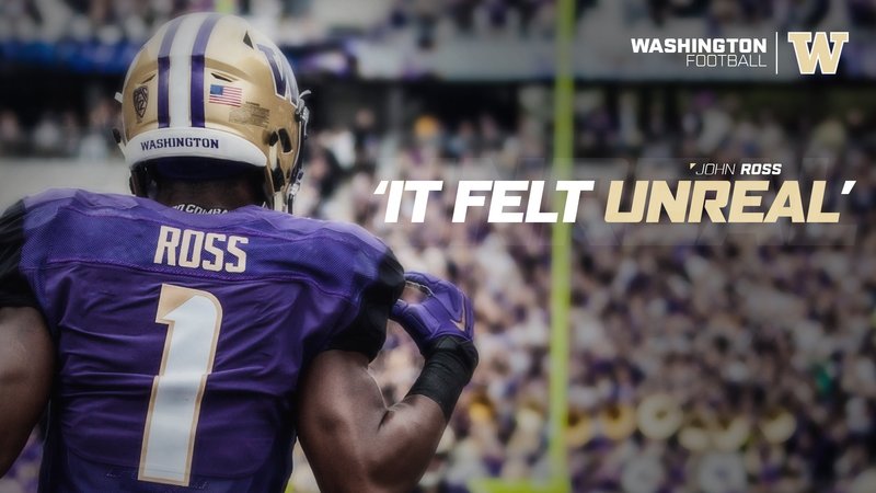 Washington Huskies Theme Preview Image