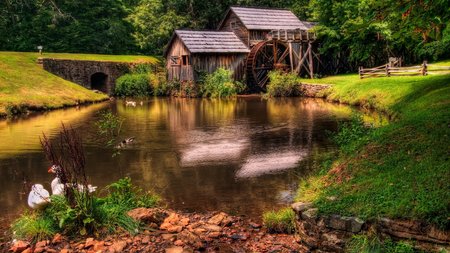 Watermill Theme Preview Image