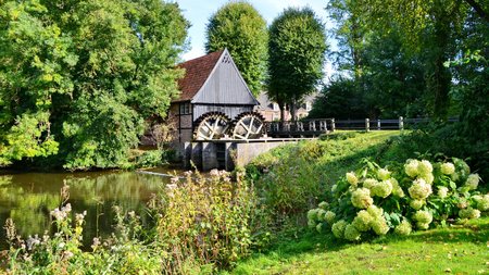 Watermill Theme Preview Image