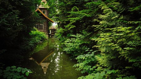 Watermill Theme Preview Image