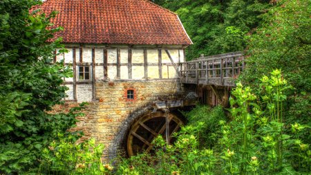 Watermill Theme Preview Image