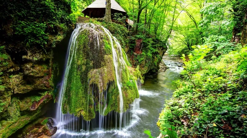 Watervall V 2 Theme Preview Image