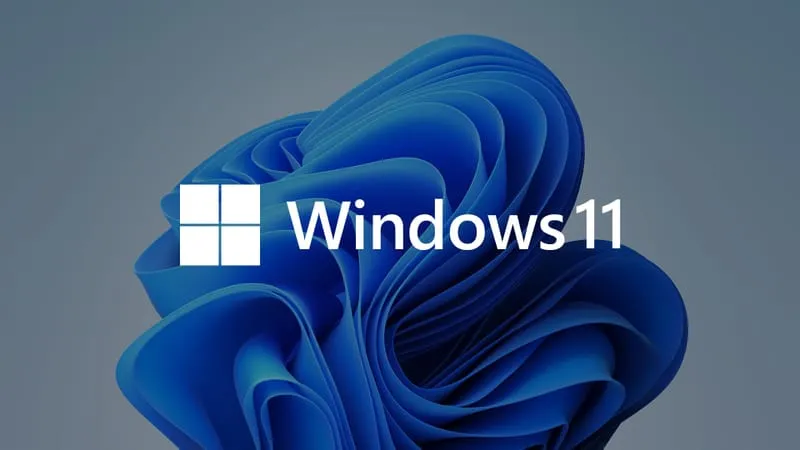 Windows 11 Theme Preview Image