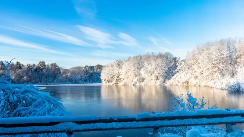 Winter Theme Preview Image